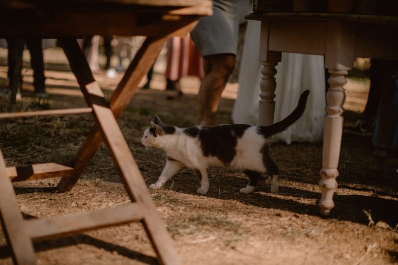 Un mariage simple et bohème dans le Var - Photos : Juli Etta - Blog mariage : La mariée aux pieds nus