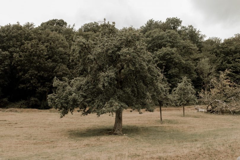 Un mariage simple et champêtre en Normandie - Photos : Typhaine J Photographie - Blog mariage : La mariée aux pieds nus