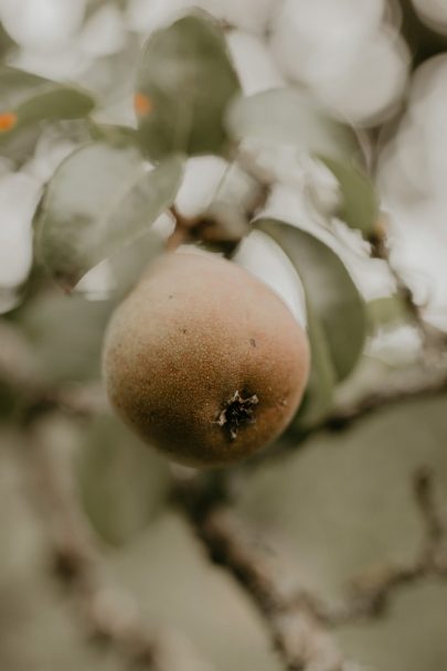 Un mariage simple et champêtre en Normandie - Photos : Typhaine J Photographie - Blog mariage : La mariée aux pieds nus