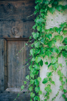 Un mariage simple en petit comité à Gordes en Provence - A découvrir sur le blog mariage www.lamarieeauxpiedsnus.com - Photos : Ingrid Lepan / Organisation : Wanderlust Wedding / Décoration : Big Day Design / Traiteur : Badadié / Wedding Cake : Citron Pavot / Colligraphie : Nice Plume