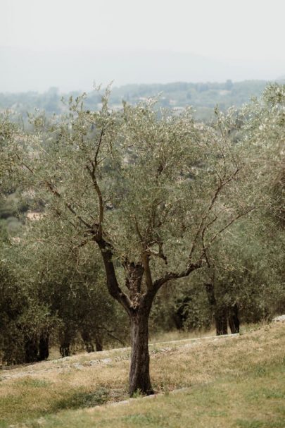 Un mariage végétal à la Bastide Saint Antoine à Grasse - Photos : Capyture - Blog mariage : La mariée aux pieds nus