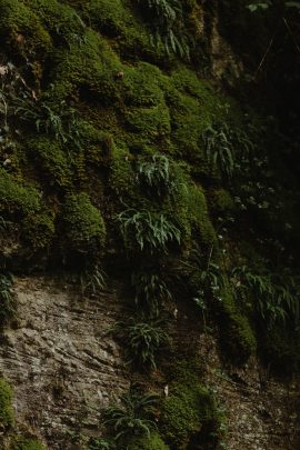 Un mariage végétal au Château de Barbirey en Bourgogne - Photographes : Capyture - Blog mariage : La mariee aux pieds nus