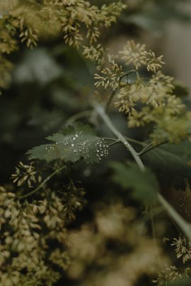 Un mariage végétal au Château de Barbirey en Bourgogne - Photographes : Capyture - Blog mariage : La mariee aux pieds nus