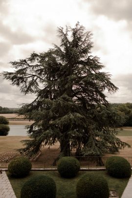 Un mariage en vert au Domaine des Bidaudières - Photo et video : Solveig & Ronan - Blog mariage : La mariée aux pieds nus