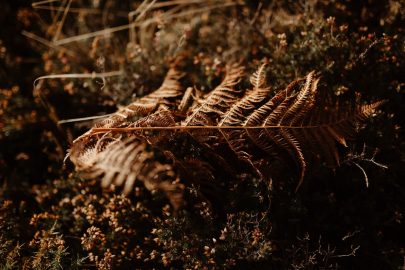 Une séance engagement en Bretagne - Photos : Aurélien Bretonnière - Blog : La mariée aux pieds nus