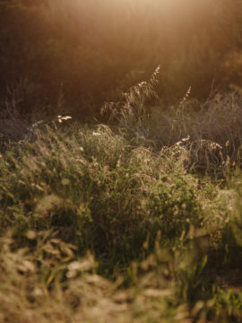 Une séance engagement en Afrique du Sud - A découvrir sur le blog mariage www.lamarieeauxpiedsnus.com - Photographes : Capyture