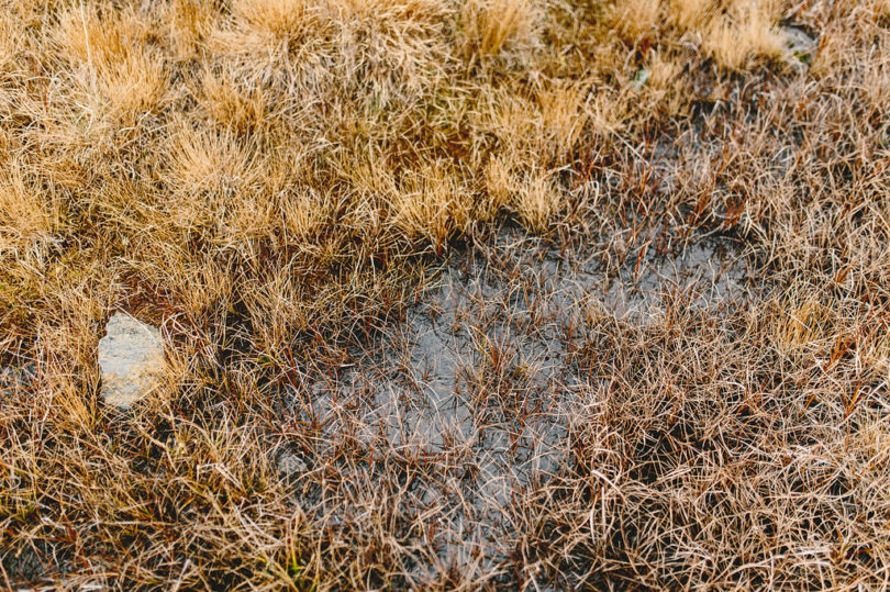 Une séance engagement dans la nature en Suisse - A découvrir sur le blog mariage www.lamarieeauxpiedsnus.com - Photos : Fabien Courmont