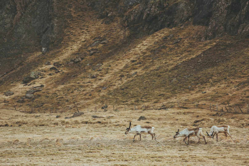 Une seance photo de couple en Islande à découvrir sur le blog mariage www.lamarieeauxpiedsnus.com - Photos : David Latour