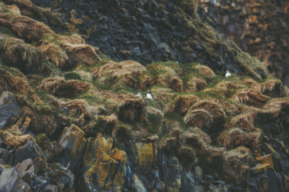 Une seance photo de couple en Islande à découvrir sur le blog mariage www.lamarieeauxpiedsnus.com - Photos : David Latour