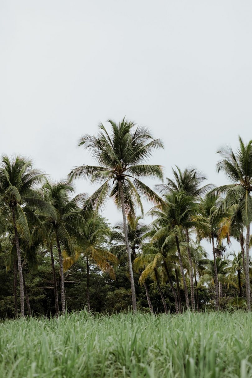 Organiser votre voyage de noces en Guadeloupe à La Toubana Hotel & Spa - Photos : Capyture - Blog mariage : La mariée aux pieds nus